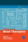 Image for Effective brief therapy  : a clinician&#39;s guide
