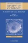 Image for International Review of Cytology : A Survey of Cell Biology : v. 198