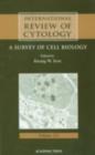 Image for International Review of Cytology : Vol 221