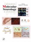 Image for Molecular Neurology