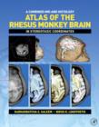 Image for Atlas of the rhesus monkey brain in stereotaxic coordinates  : a combined MRI and histology