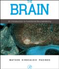 Image for The brain  : an introduction to functional neuroanatomy