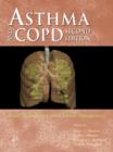 Image for Asthma and COPD  : basic mechanisms and clinical mamagement