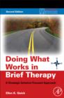 Image for Doing what works in brief therapy  : a strategic solution focused approach