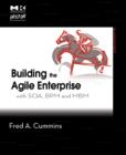Image for Building the agile enterprise  : with SOA, BPM and MBM
