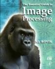 Image for The essential guide to image processing