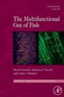 Image for Fish Physiology: The Multifunctional Gut of Fish