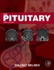 Image for The pituitary