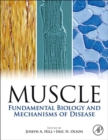 Image for Muscle: fundamental biology and mechanisms of disease