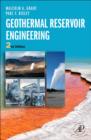 Image for Geothermal reservoir engineering