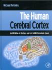 Image for The Human Cerebral Cortex