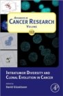 Image for Intratumor Diversity and Clonal Evolution in Cancer