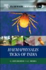 Image for Haemaphysalis ticks of India