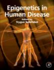 Image for Epigenetics in human disease