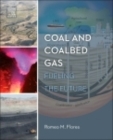 Image for Coal and Coalbed Gas