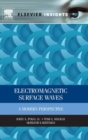 Image for Electromagnetic Surface Waves : A Modern Perspective