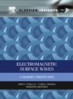 Image for Electromagnetic surface waves: a modern perspective