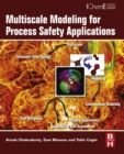 Image for Multiscale modeling for process safety applications