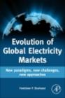 Image for Evolution of global electricity markets: new paradigms, new challenges, new approaches