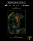 Image for Microtubules, in vitro