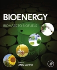 Image for Bioenergy: biomass to biofuels