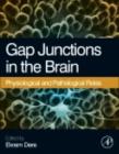 Image for Gap junctions in the brain: physiological and pathological roles
