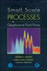 Image for Small scale process in geophysical fluid flows