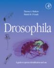 Image for Drosophila  : a guide to species identification and use
