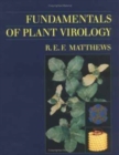 Image for Fundamentals of Plant Virology