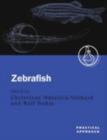 Image for The Zebrafish: Genetics and Genomics