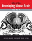 Image for Atlas of the Developing Mouse Brain at E17.5, P0 and P6