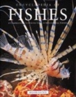 Image for Encyclopedia of fishes