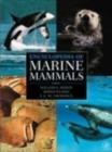 Image for Encyclopedia of Marine Mammals