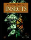 Image for Encyclopedia of Insects