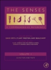Image for The senses  : a comprehensive reference