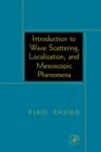 Image for Introduction to Wave Scattering, Localization, and Mesoscopic Phenomena