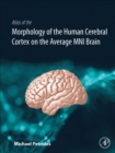 Image for Cytoarchitectonic atlas of the human cerebral cortex  : in MNI stereotaxic space