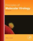 Image for Principles of molecular virology