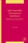 Image for Self-assembly processes at interfaces  : multiscale phenomena : Volume 21