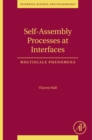 Image for Self-assembly processes at interfaces: multiscale phenomena : v. 21
