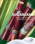 Image for Sugarcane : Agricultural Production, Bioenergy and Ethanol