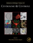 Image for Centrosome and Centriole