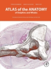 Image for Atlas of the anatomy of dolphins and whales