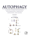 Image for Autophagy: cancer, other pathologies, inflammation, immunity, infection, and aging. (Human diseases and autophagosome) : Volume 9,