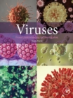 Image for Viruses: from understanding to investigation