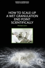 Image for How to Scale-Up a Wet Granulation End Point Scientifically
