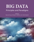 Image for Big data: principles and paradigms