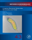 Image for Imaging Bacterial Molecules, Structures and Cells