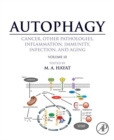 Image for Autophagy: cancer, other pathologies, inflammation, immunity, infection, and aging. : Volume 10