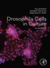 Image for Drosophila cells in culture